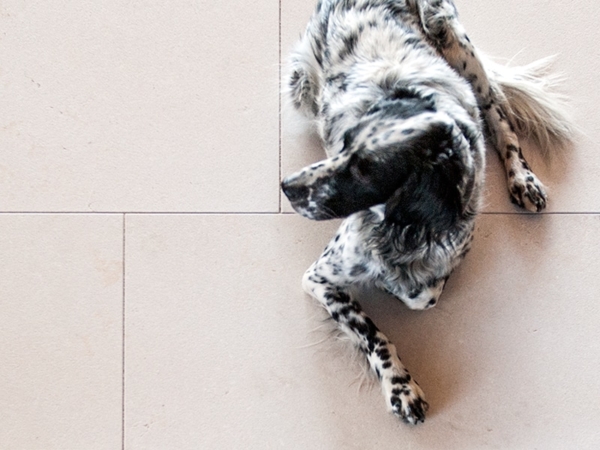 CremaBelluno sand 80x50 gefast