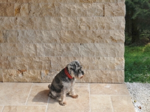 Rustic - Prag Verblender, Boden Classic Beige - Travertin