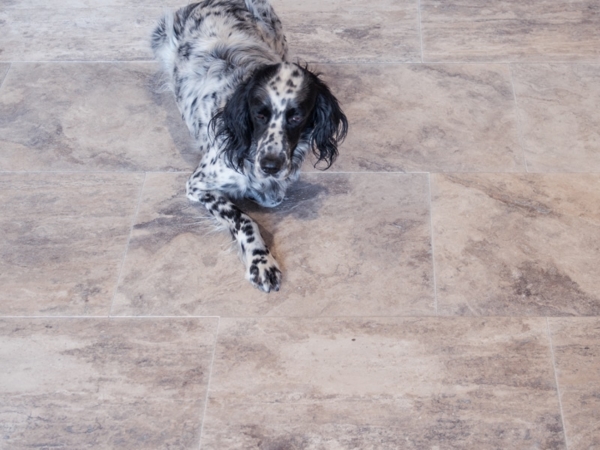 Silver Beige Fliesen gefuellt gebuerstet